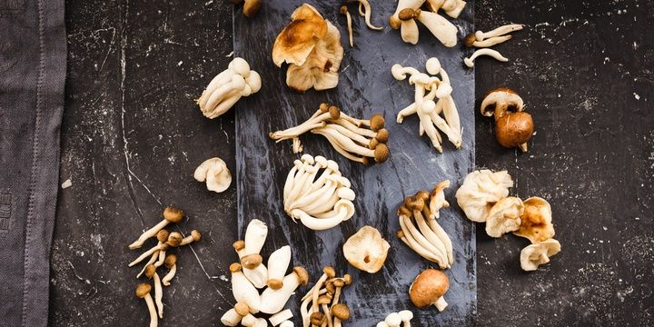 6 Deadly Foods Most of Us Have in Their Kitchen Mushrooms