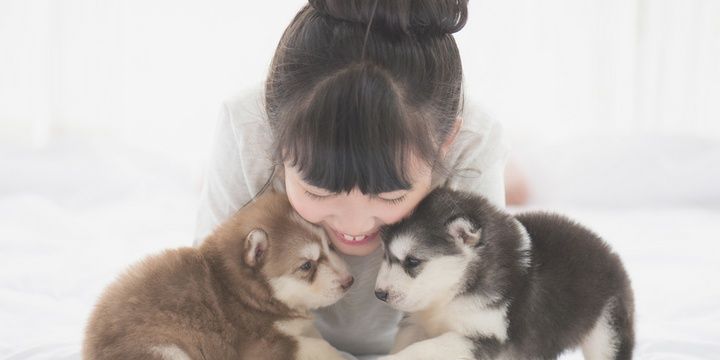 6 Reasons Why Your Pets Shouldnt Be Allowed in the Bedroom Mites