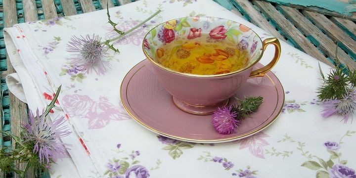 What Herbal Teas Can Improve Your Conditions Milk thistle