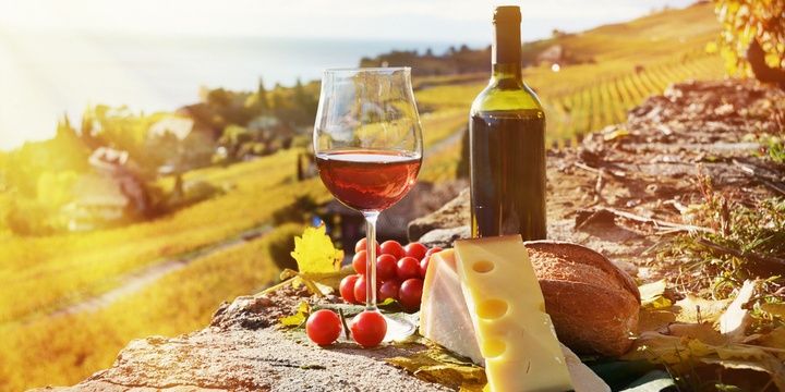 7 Tips to Have a Snow-White Smile Eating Cheese