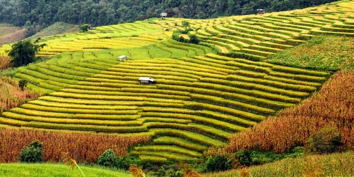 6 Wonderful Destinations for Single Travellers Thailand