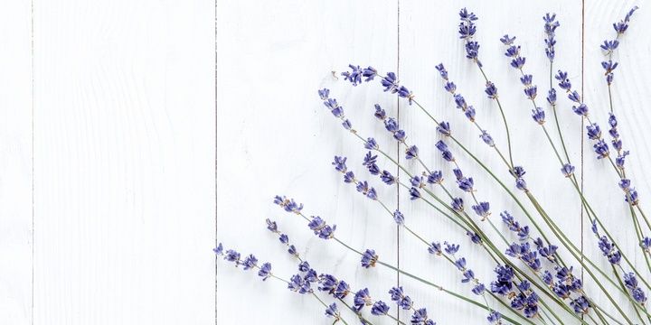 5 Things That Make You Look More Trustworthy and Reliable WELCOMING SMELLS