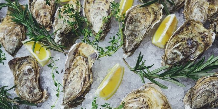 8 Foods That Your Hair Needs and Loves Oysters