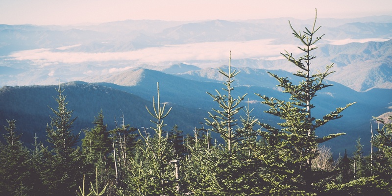 8 Greatest Destinations for Your Vacations in the United States Tennessee Smokey Mountains