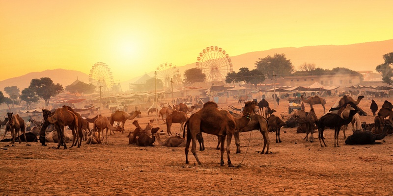 9 Tips for Women Travelling to India Pushkar for people willing to see the sand dunes