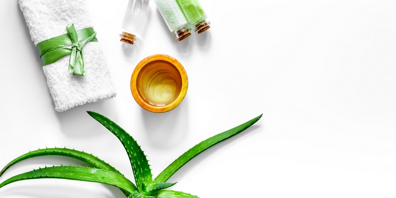 8 Problems That You Can Easily Resolve with Aloe Vera Aloe Vera Treats Minor Skin Burns