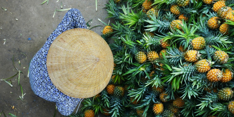 8 Reasons for You to Eat Pineapples More Often Prevents Cancer