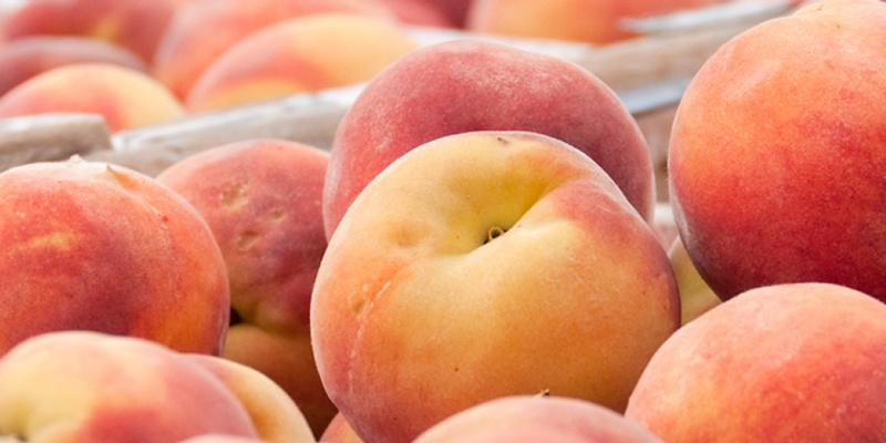 6 Major Reasons Not to Trust Organic Products Increased Protein