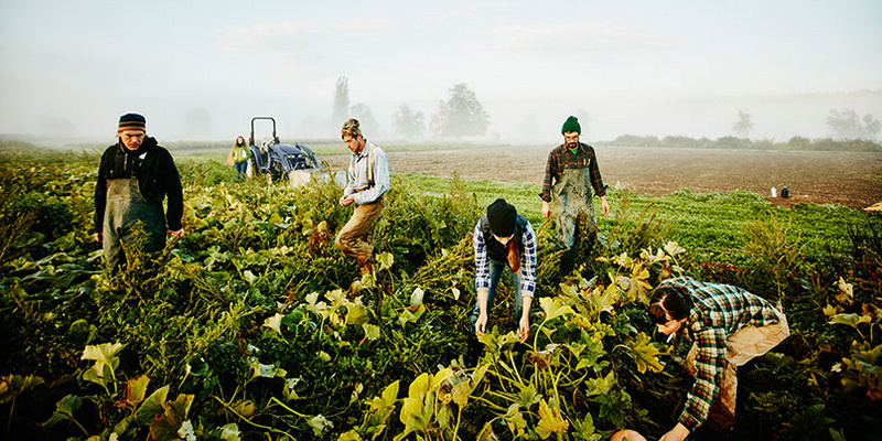6 Major Reasons Not to Trust Organic Products Cost