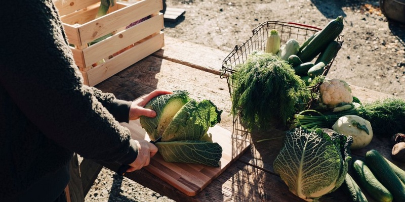 6 Major Reasons Not to Trust Organic Products Too Low in Iodine